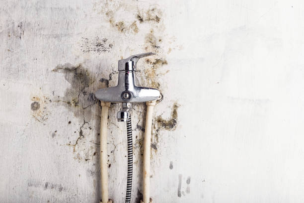 Best Mold Removal Company Near Me  in Ironton, OH