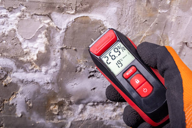 Trusted Ironton, OH Mold Removal Experts